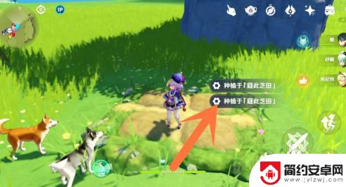 原神如何在尘歌壶里种植 尘歌壶种植指南