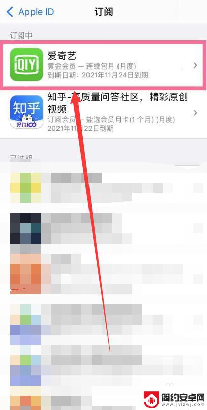 苹果手机怎么解除爱奇艺自动续费功能 爱奇艺会员自动续费如何在苹果手机上取消