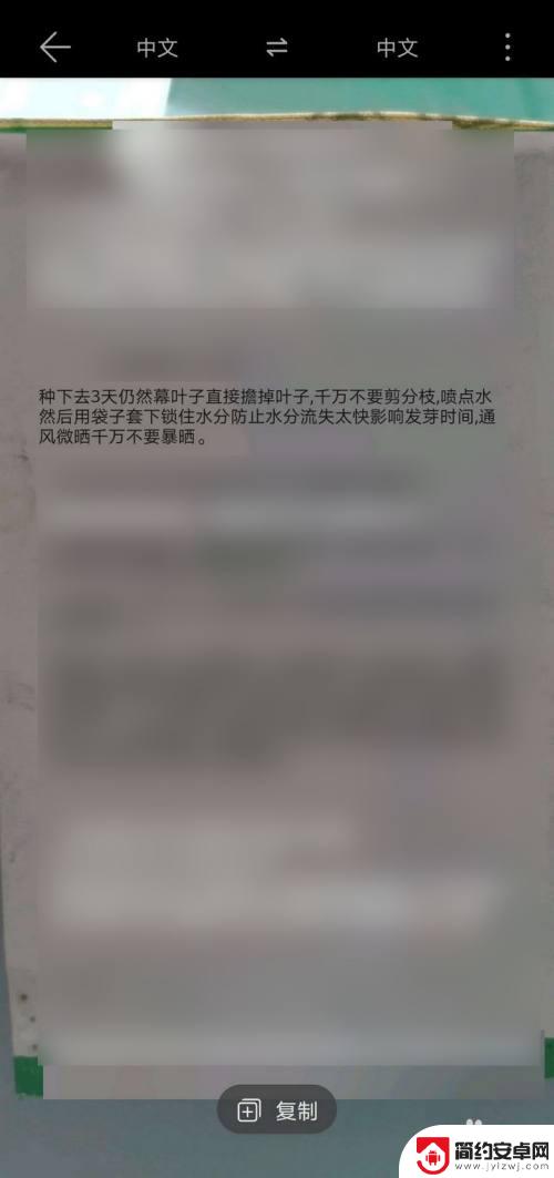 华为手机怎样拍照识别文字 华为手机相机如何识别图片中的文字