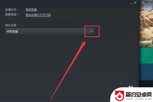 steam怎么开直播让好友观看 在Steam上如何开直播