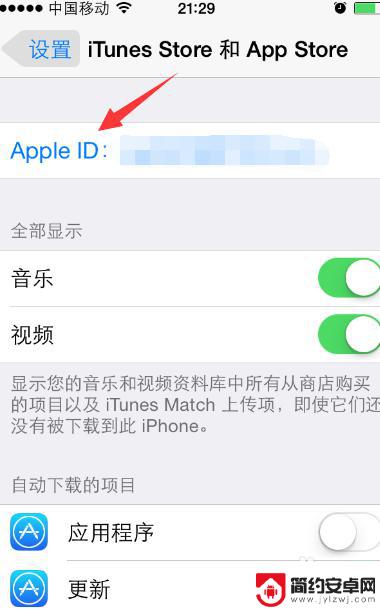 苹果手机apple id是哪个 如何在iPhone上查看自己的Apple ID