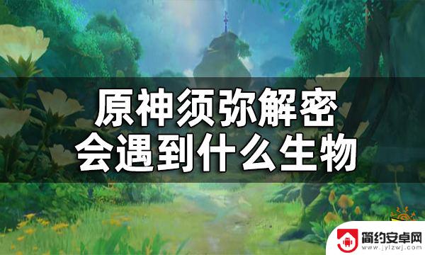 原神须弥会飞的果子 须弥解密会遇到什么生物