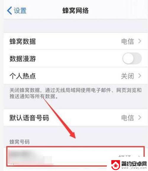 苹果12手机怎么显示5g网络 iPhone12怎么开启5G网络