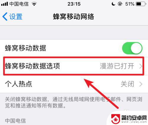 苹果手机开流量了为什么不显示出4g 苹果iphone手机开启蜂窝数据后无法显示4G网络