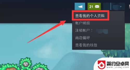 steam收藏如何不发动态 steam如何隐藏个人活动