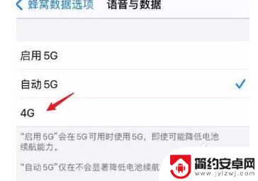 苹果手机的手机信号在哪里设置 苹果12设置4G网络教程