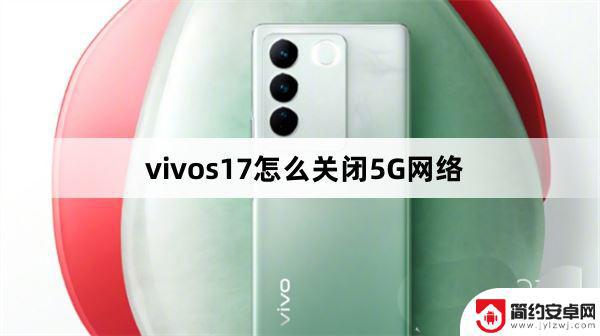 vivo手机关闭5g网络设置方法 vivo S17关闭5G网络的技巧