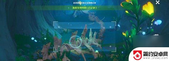 原神残骸位置 原神沉船与海底生物残骸探索地点