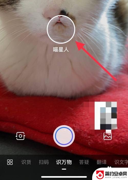 手机拍照识万物百度 百度app识万物功能怎么用