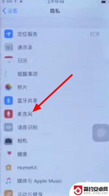 苹果手机里麦克风设置在哪儿啊 苹果电脑麦克风设置在哪里