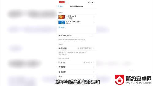 苹果手机按两下付款怎么取消 苹果手机双击侧边键弹出支付怎么取消