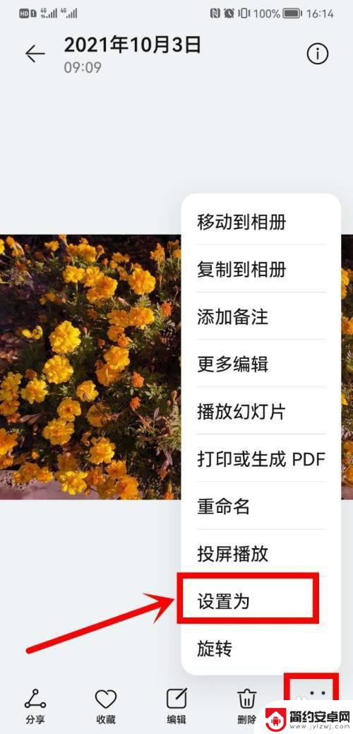 手机已设置的壁纸怎么保存华为 如何在华为相册中设置喜欢的照片为手机主屏壁纸