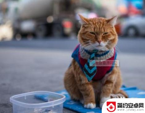 如何5块钱过一个星期 10块钱一个星期怎么过