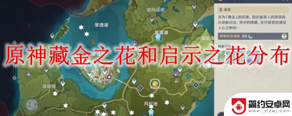 原神藏金之花和启示之花位置 原神藏金之花和启示之花分布图