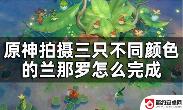 原神照相颜色 兰那罗拍摄任务三只不同颜色怎么完成