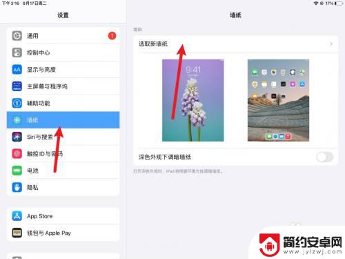 怎么更换壁纸背景图片平板 如何将自己喜欢的图片设置为iPad壁纸