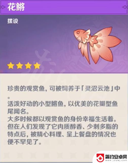 原神的鱼是什么 原神 全特殊鱼种