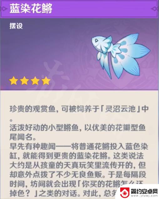 原神的鱼是什么 原神 全特殊鱼种