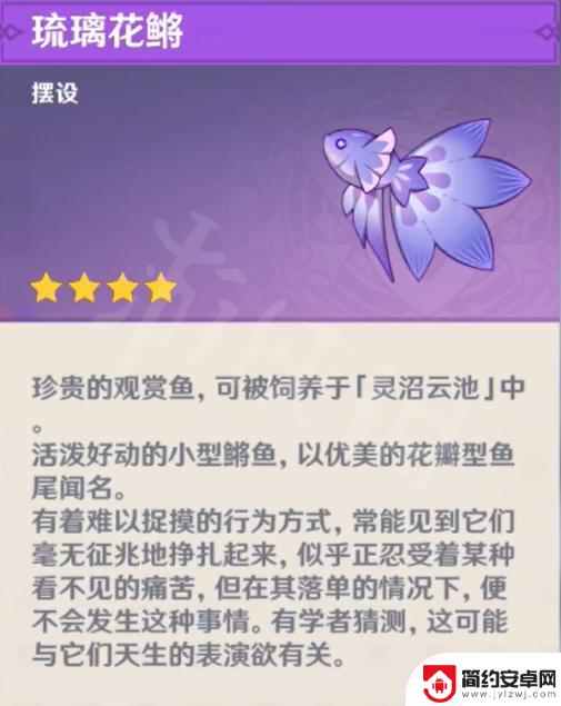 原神的鱼是什么 原神 全特殊鱼种
