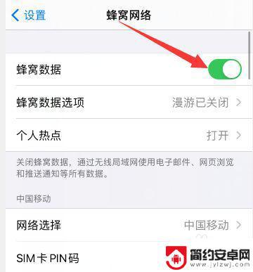 iphone目前无法访问蜂窝数据 iPhone 12 无服务怎么办