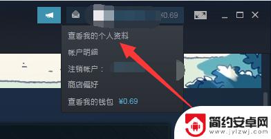 如何将steam资料页公开 如何公开Steam资料