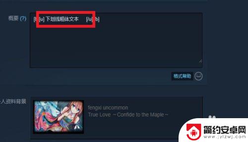 steam文字 STEAM个人资料界面如何设置文本字体效果