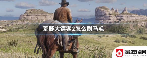 荒野大镖客二刷毛 怎样在荒野大镖客2中快速获取马毛