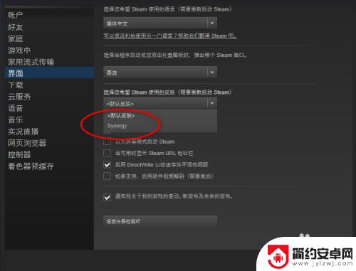 steam平台怎么更换皮肤 Steam怎么下载好看的皮肤