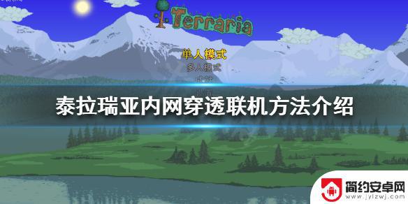 泰拉瑞亚怎么在里面联机 泰拉瑞亚内网穿透联机教程