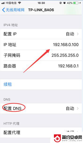 苹果手机如何查看网络域名 iPhone 怎么查看无线网络 IP 地址和 DNS 设置