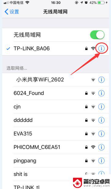 苹果手机如何查看网络域名 iPhone 怎么查看无线网络 IP 地址和 DNS 设置