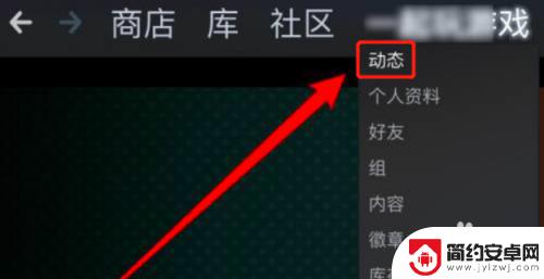 steam如何隐藏动态 如何在Steam中设置隐藏游戏动态