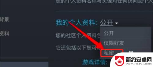 steam如何隐藏动态 如何在Steam中设置隐藏游戏动态