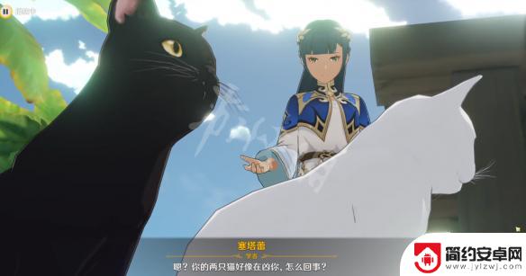 原神塞塔蕾的猫叫什么名字 《原神》中塞塔蕾的猫名字是什么