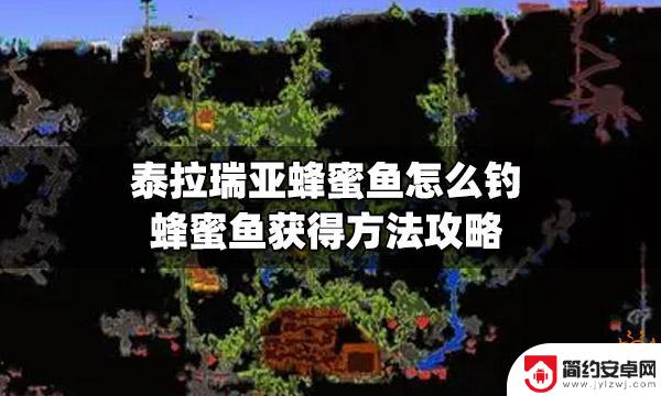 泰拉瑞亚蜂蜜里能钓到什么 泰拉瑞亚蜂蜜鱼怎么钓