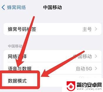 手机如何打开标准模式 如何在苹果手机上开启标准数据模式