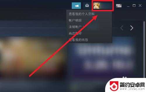 steam怎么把库存给隐藏 Steam设置不公开库存游戏步骤