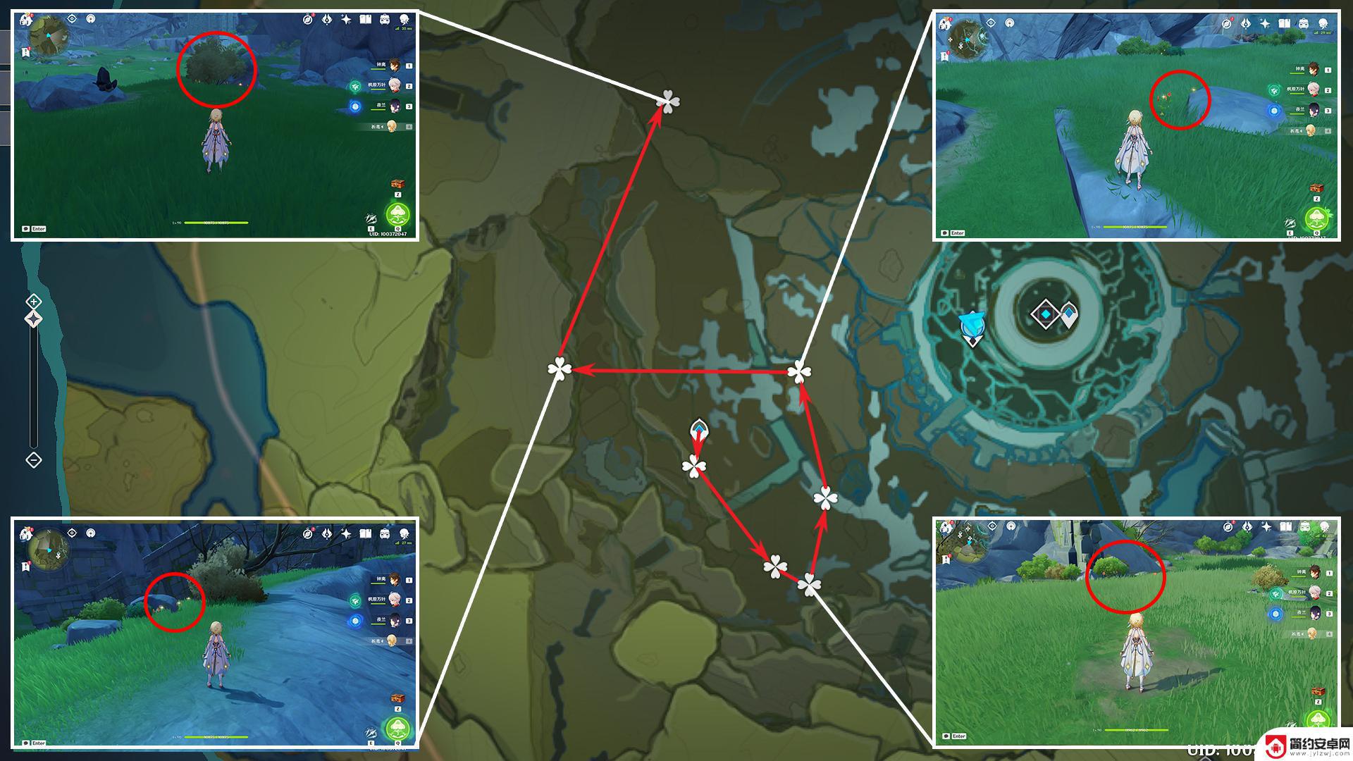 原神风车菊分布点 原神风车菊收集路线图解