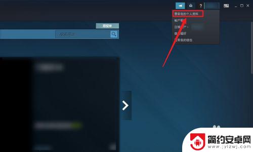 steam 隐私设置 steam隐私设置教程