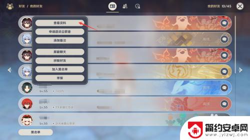 原神不上游戏怎么看好友 原神如何查看好友的详细资料