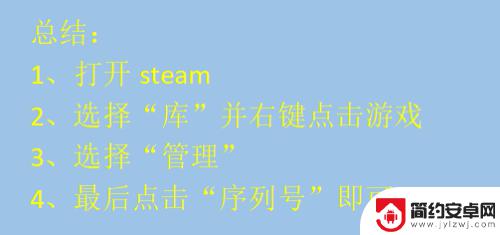 steam看key 如何查看游戏在Steam上的序列号