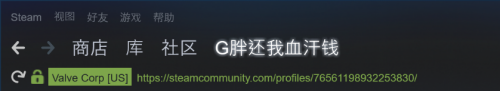 steam 64 id 如何查看自己的64位Steam ID