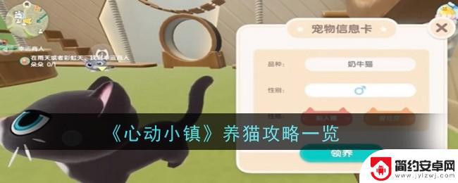 心动小镇怎么给猫喂食 心动小镇养猫技巧